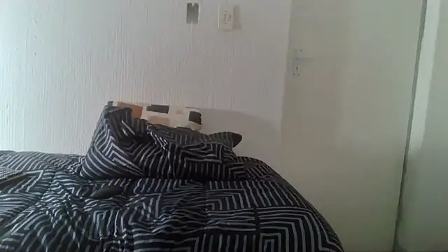 BrownSugarX02 webcam