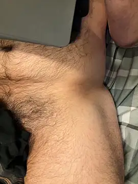 Dan8736 webcam