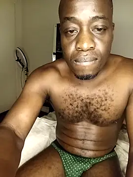 WaiterZim webcam