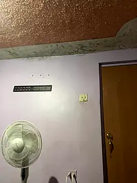 UNCUTKING10inch webcam