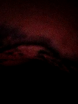 king8580 webcam