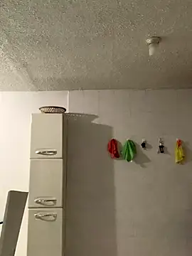 La-Gatiita-trans webcam
