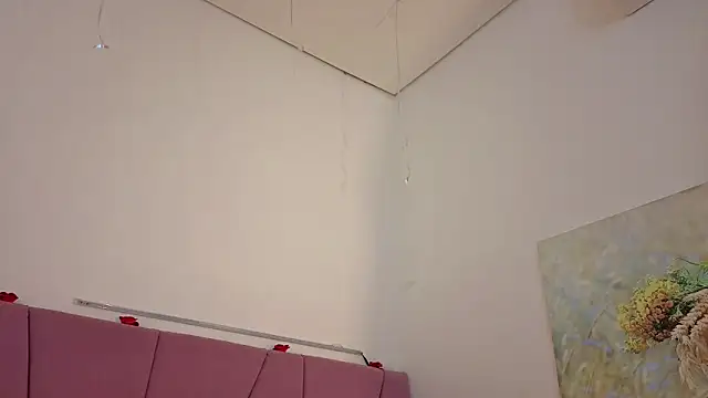 PIA_STONE webcam