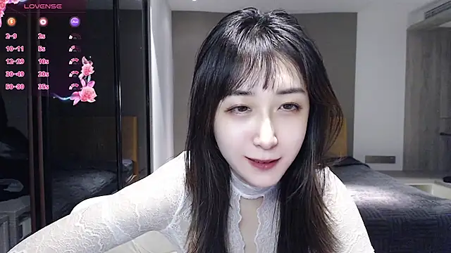 KK-328 webcam
