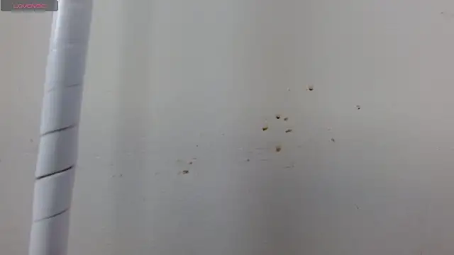 caty_angel webcam