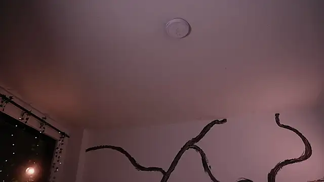 soidai_miiu
