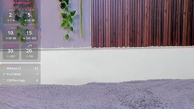 Dakotaferreti