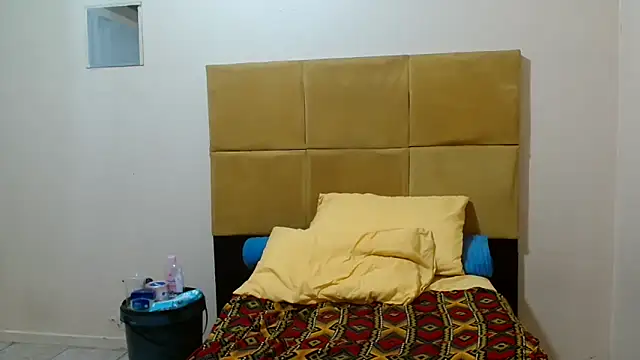Bbw255 webcam