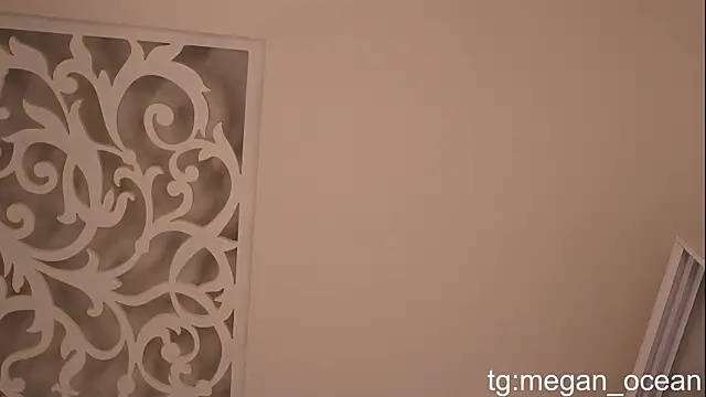 Webcam with 905 viewers