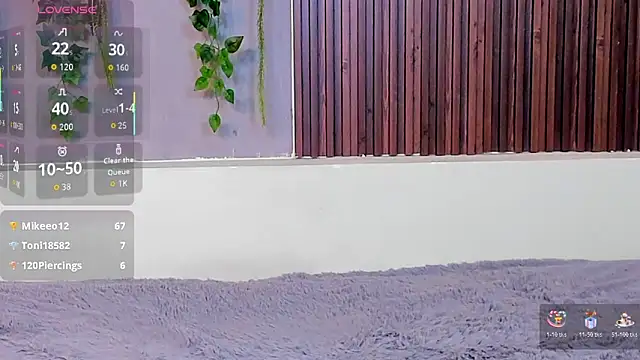 Dakotaferreti