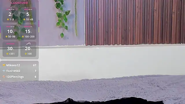 Dakotaferreti