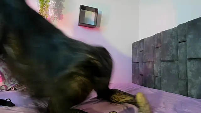 kitty_myers webcam