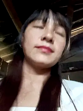 Mini3333 webcam