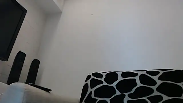 SebastianReiss webcam