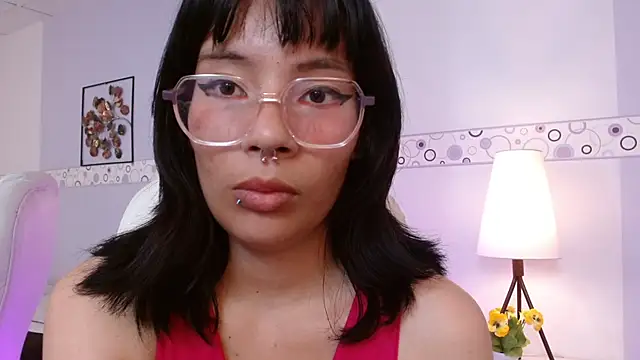 FresaAnix webcam