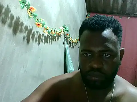 2ocmaxi webcam