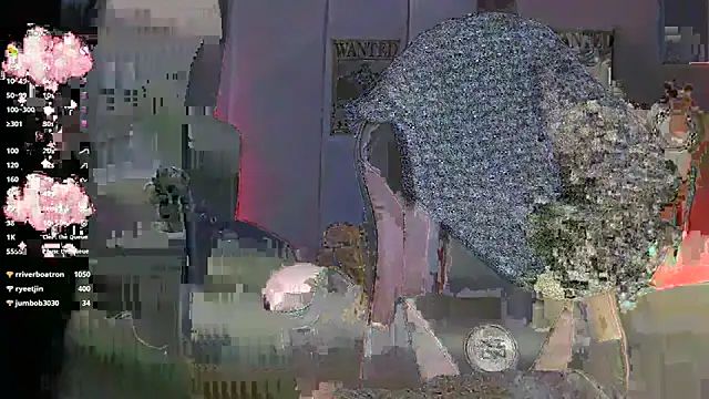 Theprojectsaraa webcam