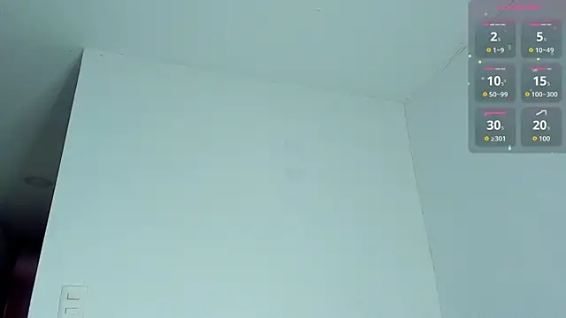 austinoficial webcam