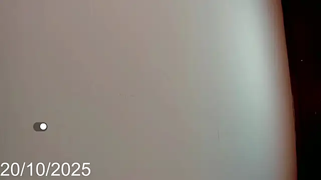 dahian_fox7 webcam