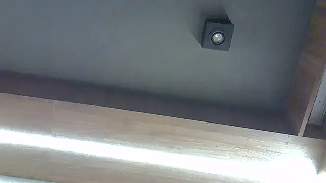 SkinnyKitten webcam