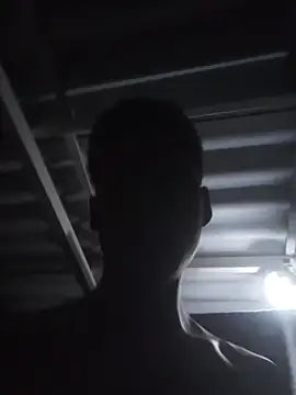 XGublex webcam