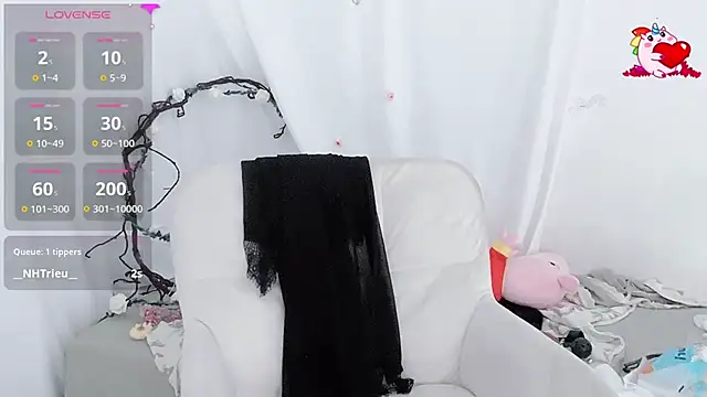 BeChinh_Lee webcam
