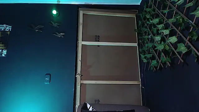 Dicaprioo_ webcam