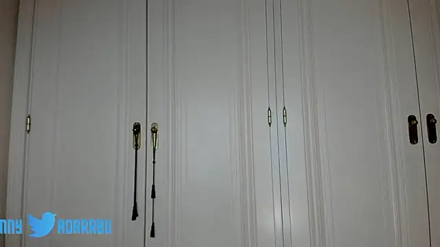 adarabu webcam