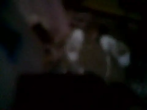 Wero4200 webcam