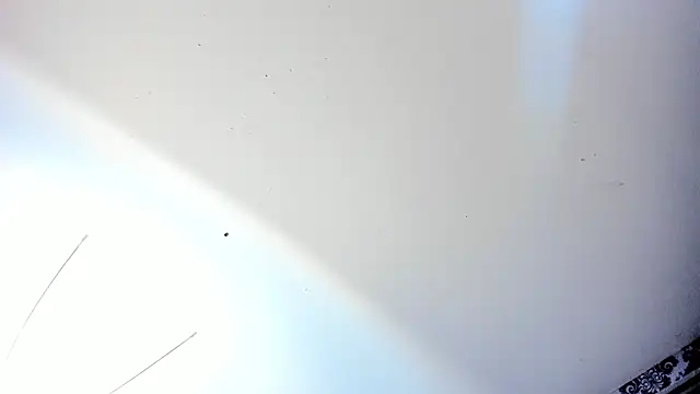 pola_adams_ webcam
