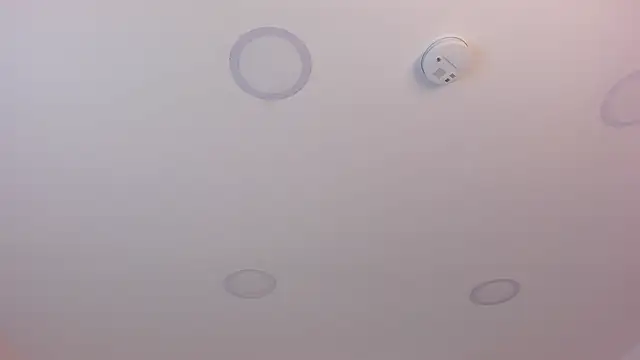 ChannelFoxxx webcam