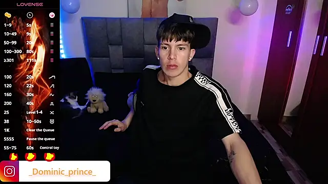 DominicPrince webcam