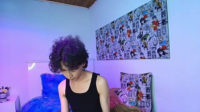 noidysis webcam