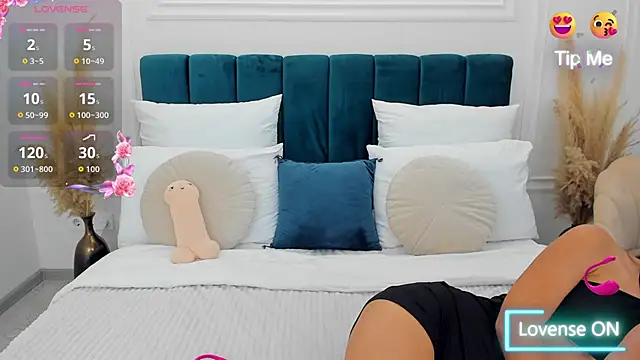 MonCarla webcam