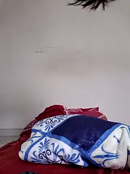 Bongcock8inch webcam