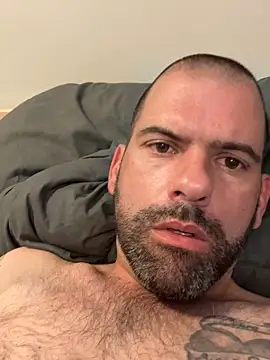 Dan8736 webcam