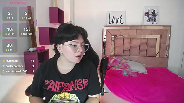 safyka webcam