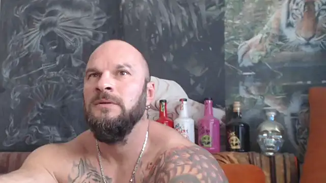 viking_30 webcam