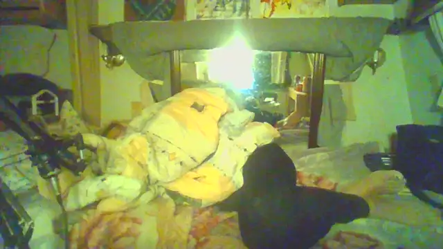 HoneyBdaQueen webcam