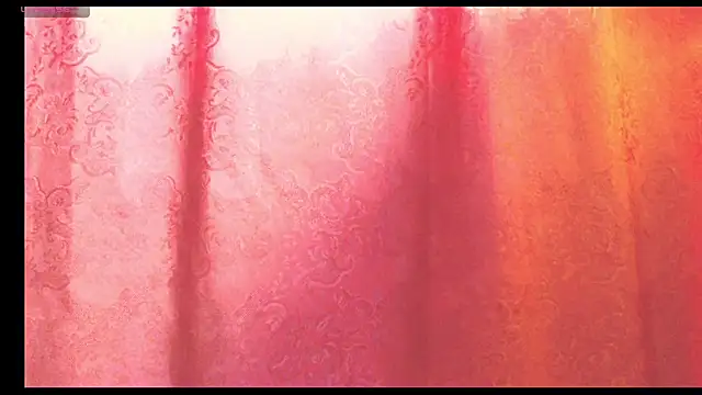 bindi_LORA webcam