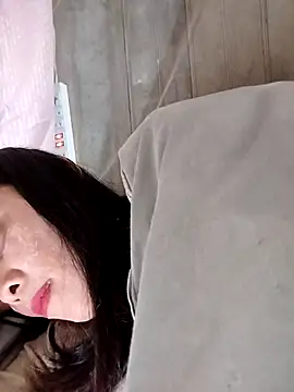 Sinejdk3 webcam
