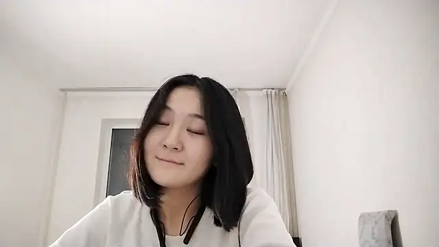 Lyndasilk webcam
