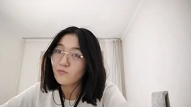 Lyndasilk webcam