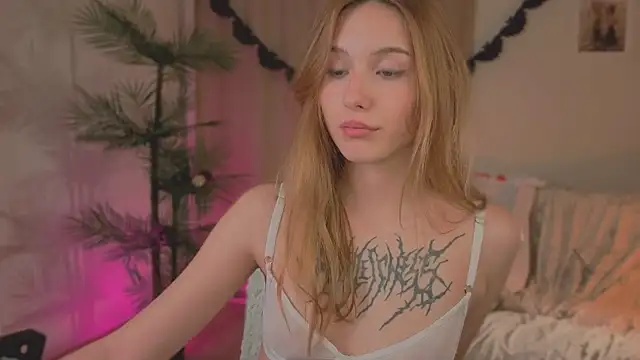 Vegas_V webcam