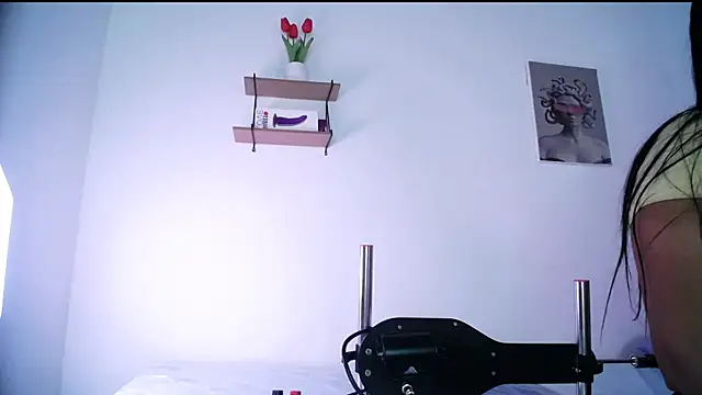 ruby_sin webcam