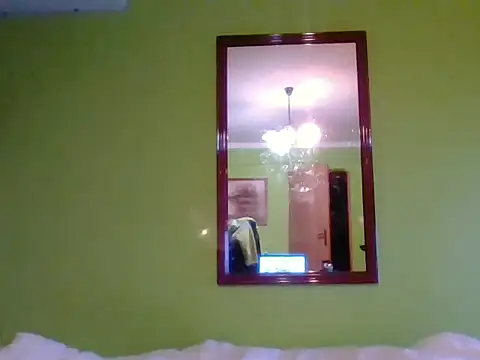 Tiger202441 webcam