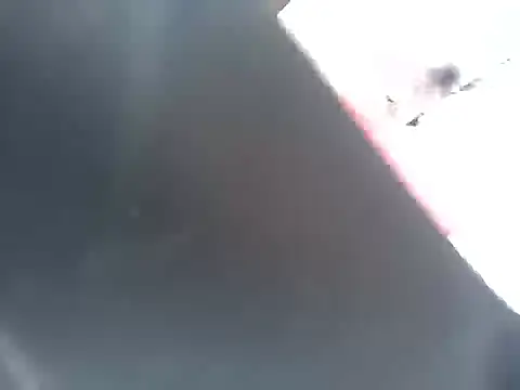 Kingbigcock23cm webcam