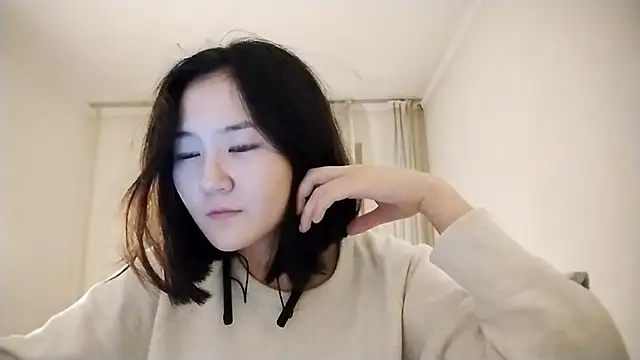 Lyndasilk webcam
