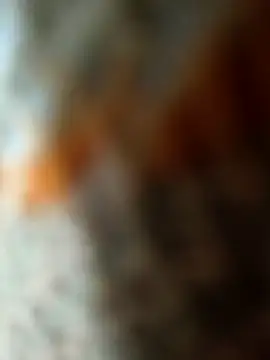 TyRiOn_Lannister webcam
