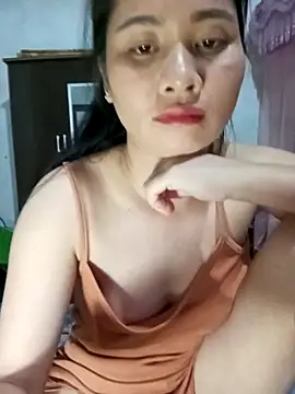 Chmdiemd webcam